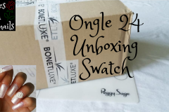 Ongle-24-Unboxing-roses-on-the-nails Ongle-24-Unboxing-roses-on-the-nails