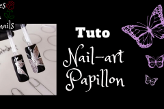 tuto-nail-art-papillon-roses-on-the-nails tuto-nail-art-papillon-roses-on-the-nails
